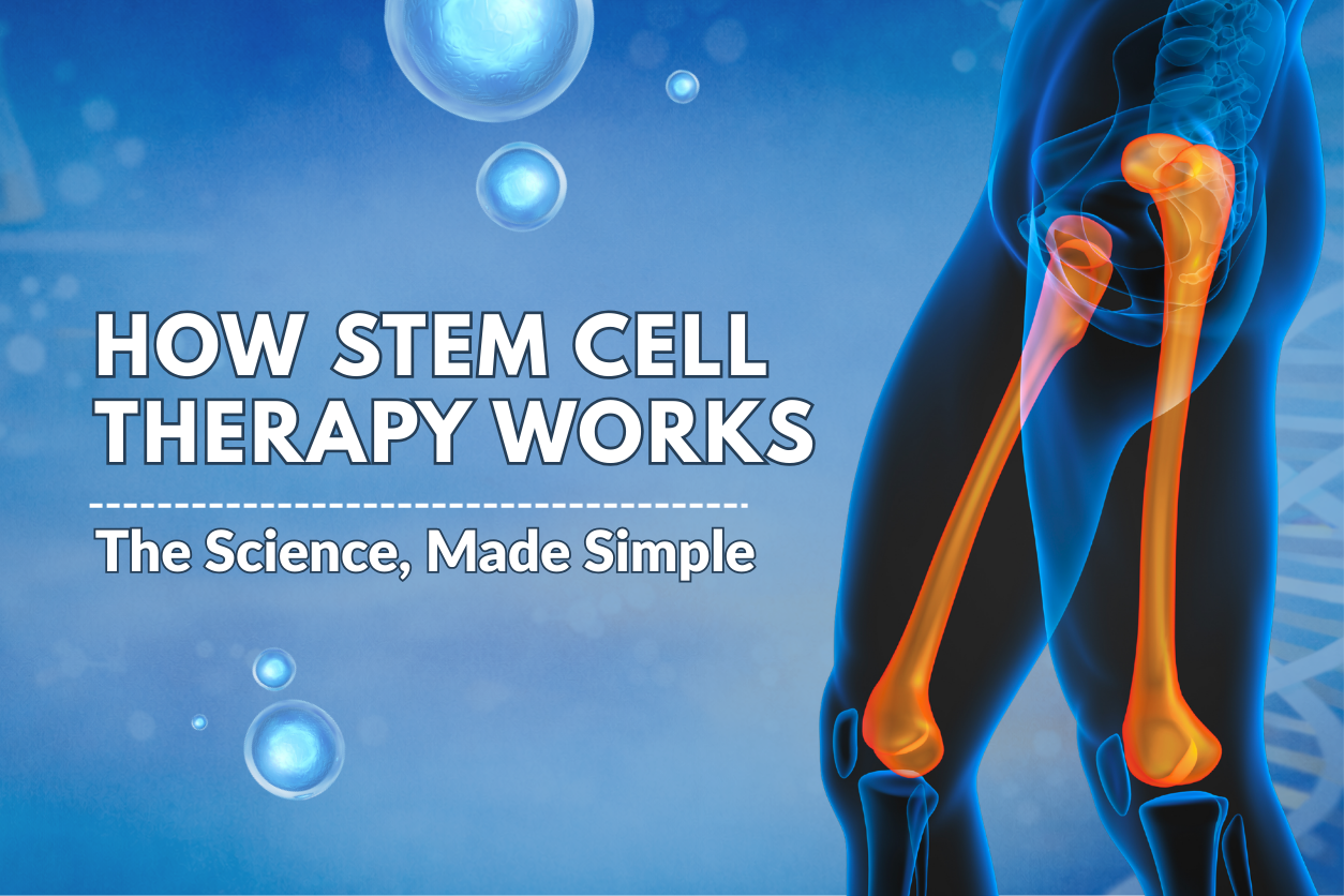 How Stem Cell Therapy Works: The Science, Made Simple