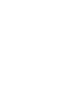Secure